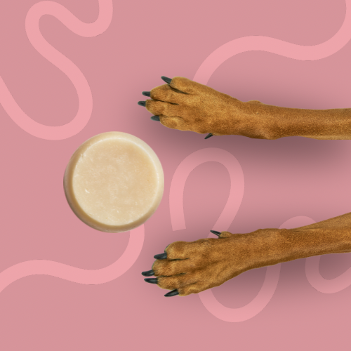 Cooper Loves™ The Calm Pup