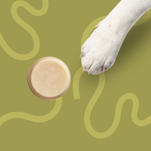 Cooper Loves™ The Fresh Pup