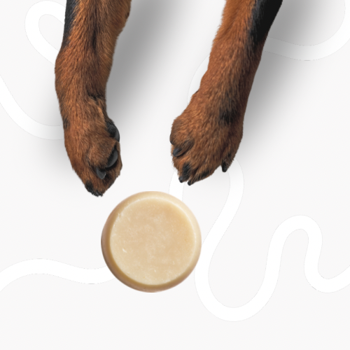 Cooper Loves™ The Full Floof Bundle of 4 Dog Shampoo Bars