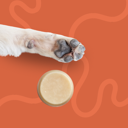 Cooper Loves™ The Full Floof Bundle of 4 Dog Shampoo Bars